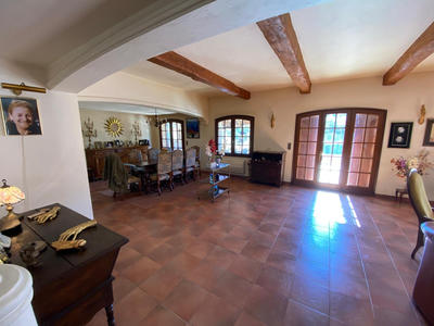 Viager - Maison - 318 m² - 7 pièces