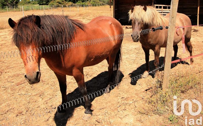 Maison - 370 m² - 18 pièces