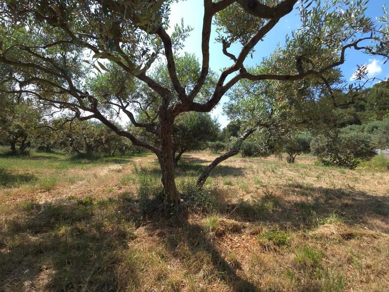 Villa - 101 m² - 5 pièces