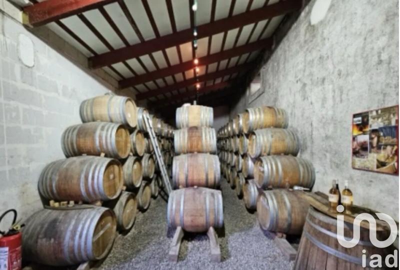 Château - 1 200 m² - 30 pièces