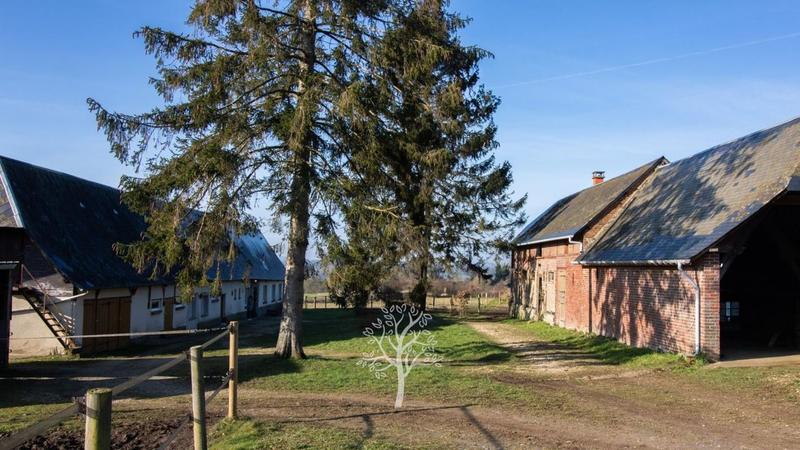 Maison de domaine équestre - 130 m² - 3 pièces