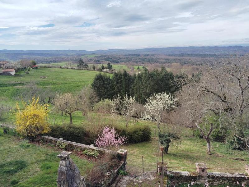 Demeure - 251 m² - 13 pièces