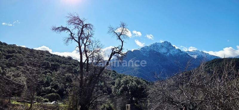 Maison de village - 180 m² - 6 pièces