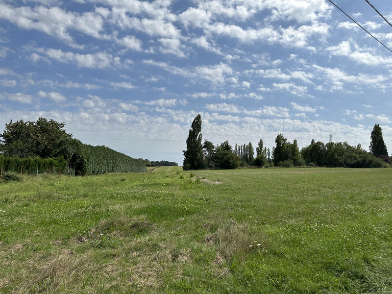 Terrain - 1 000 m²