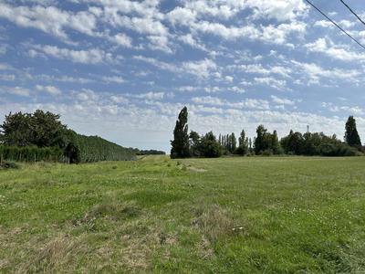 Terrain - 1 000 m²