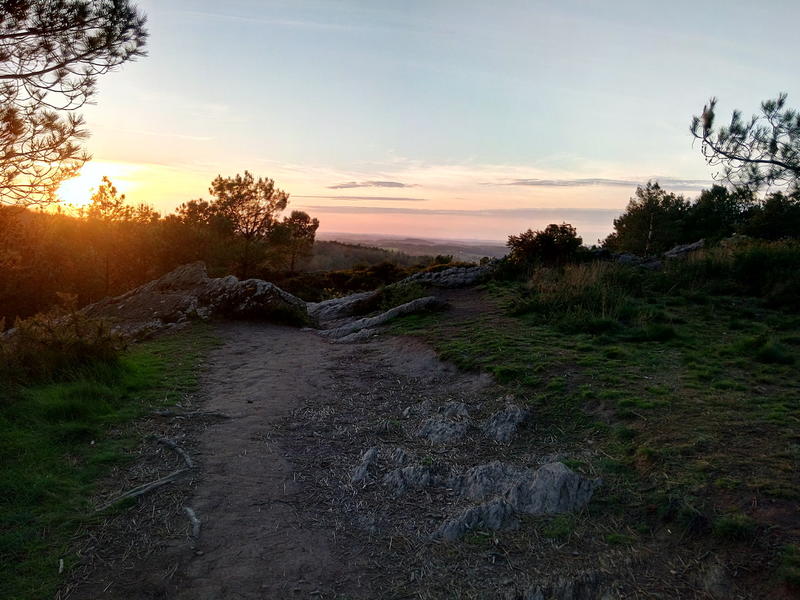 Balade au Crépuscule : Contes, Chantes et Musique en Brocéliande.