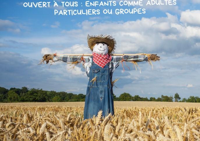 Un week-end aux champs à Vicq Sur Breuilh