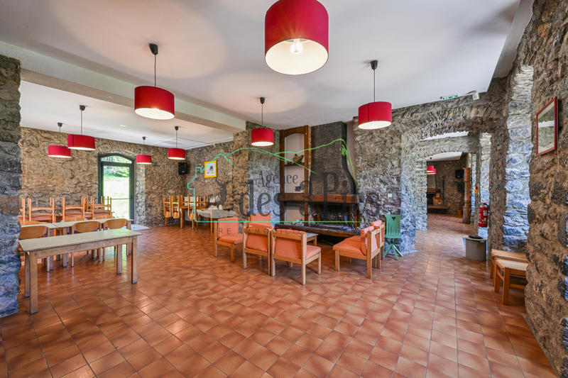 Château - 1 000 m² - 35 pièces