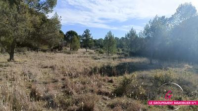 Terrain agricole - 5 224 m²