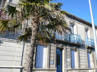 Immeuble - 8 pièces