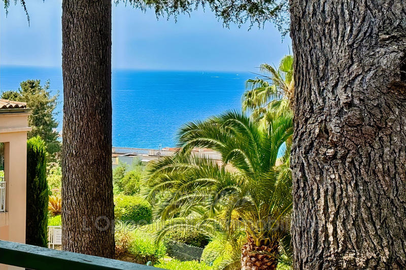 Appartement - 31 m² - 2 pièces