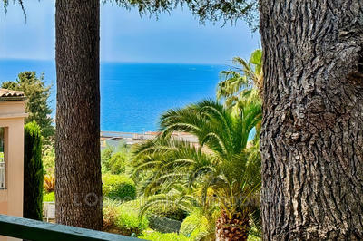 Appartement - 31 m² - 2 pièces