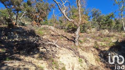 Terrain - 18 305 m²