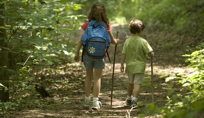 Activité : balade nature