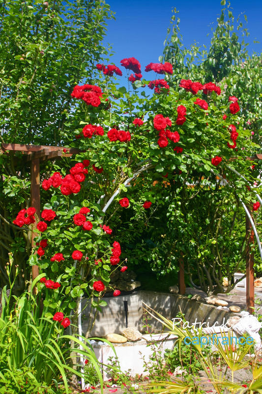 Maison - 152 m² - 7 pièces