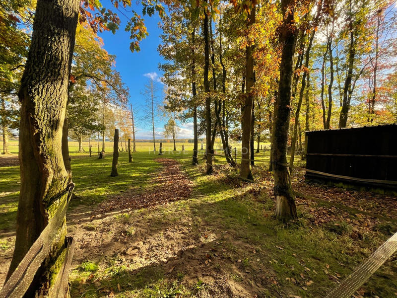 Maison - 200 m² - 7 pièces