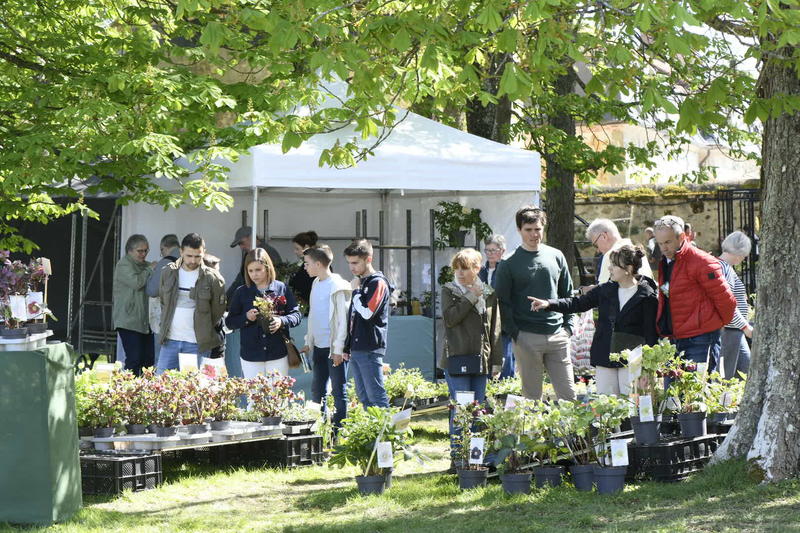 Fête des Plantes de printemps 2026 au Château de Saint-Jean de Beauregard