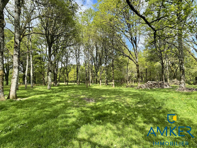 Maison - 175 m² - 8 pièces