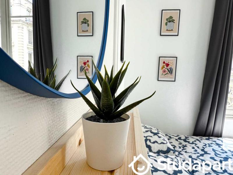 Appartement - 85 m² - 1 pièce