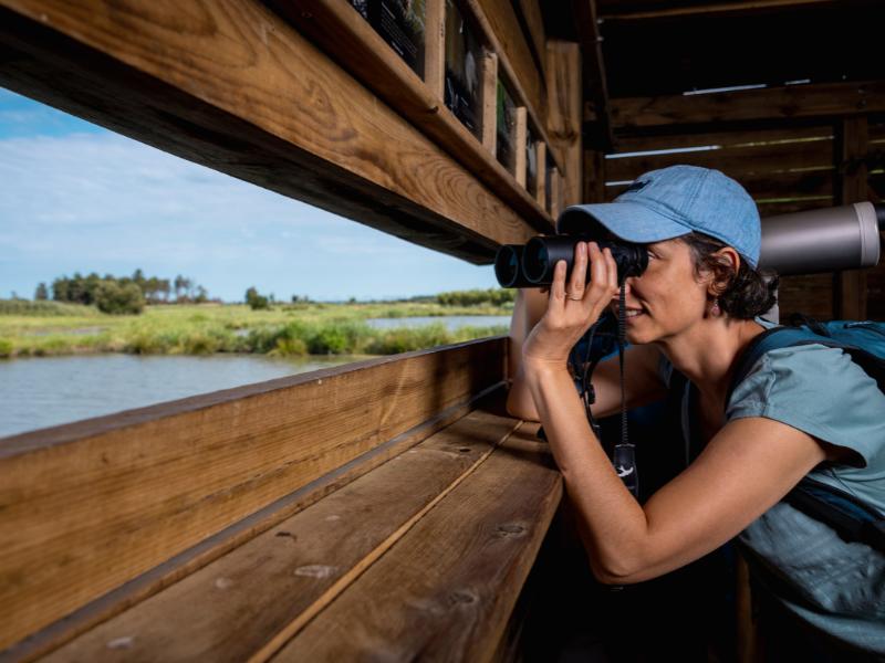 Semaine de la Biodiversité - Visite guidée de Terres d'Oiseaux avec un bagueur professionnel Jean-Pierre Baudet