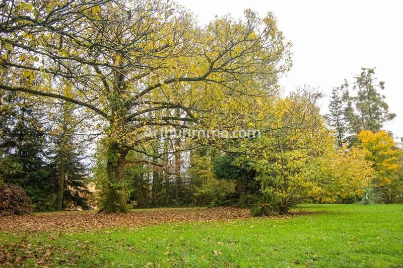 Maison - 547 m² - 14 pièces