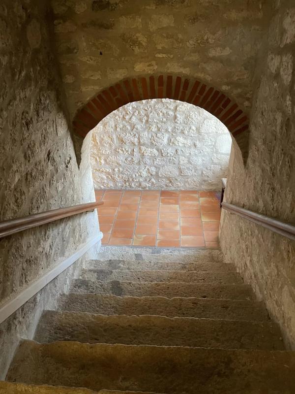 Hôtel particulier - 561 m² - 17 pièces