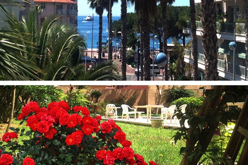 Appartement - 24 m² - 1 pièce