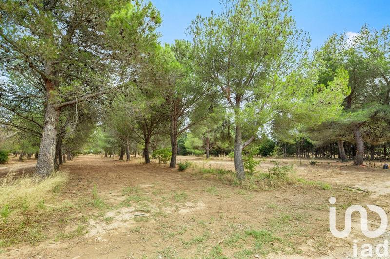 Maison - 238 m² - 8 pièces