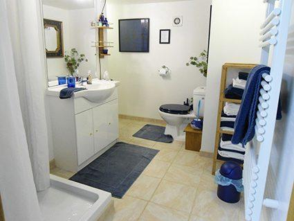 Maison ancienne - 236 m² - 8 pièces