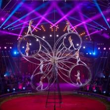 Le Grand Cirque de Noël - Amiens