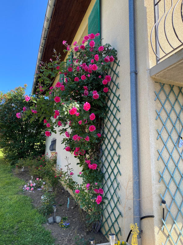 Maison - 100 m² - 6 pièces