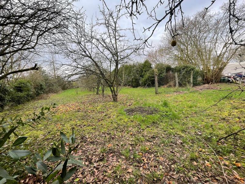 Maison - 185 m² - 1 pièce