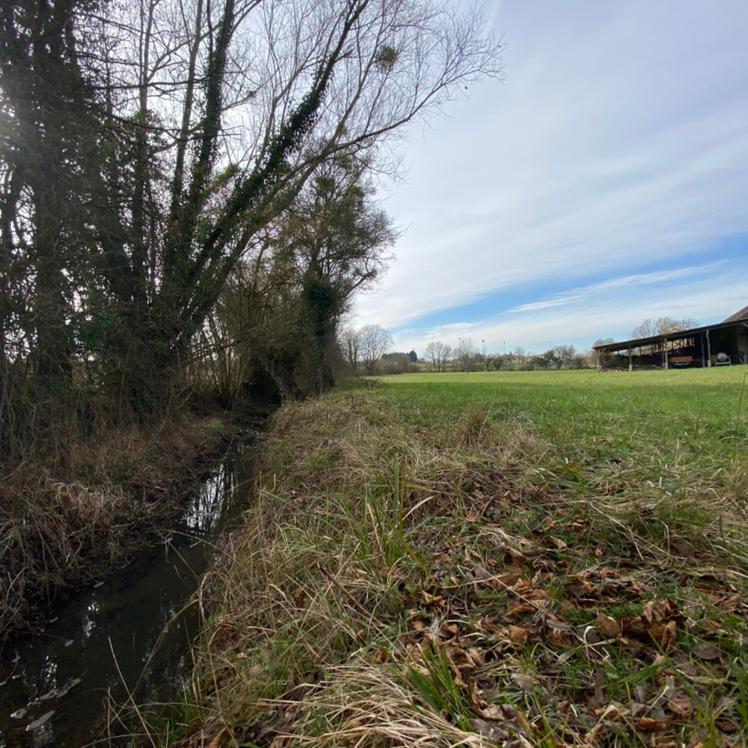 Corps de ferme - 300 m² - 10 pièces