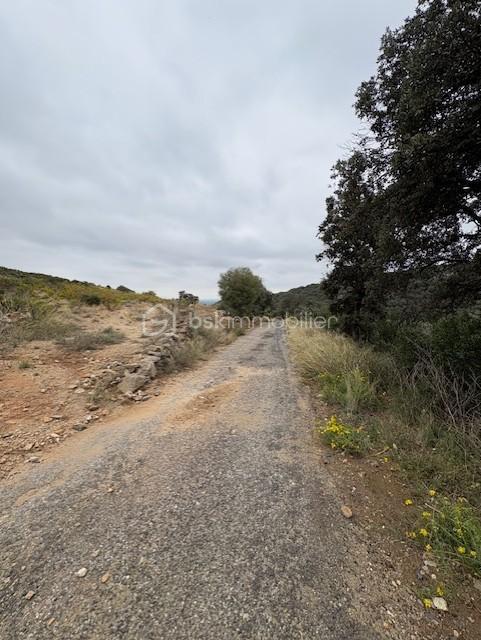 Terrain agricole - 10 160 m²