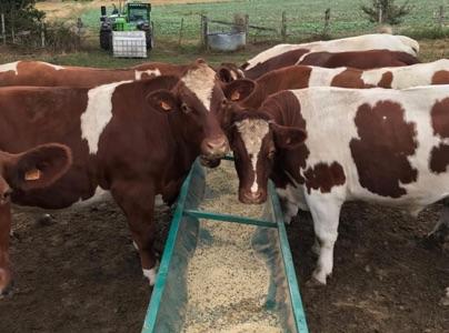 Gaec Ferme les Alizés