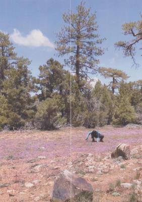 Yu-Hsuan Chiu, le journal du Pct II