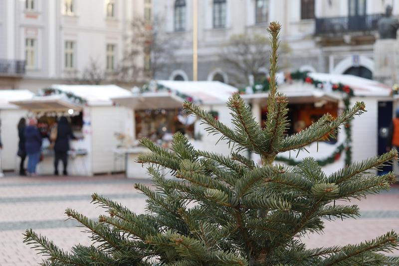 Marché de Noël à Rochechouart