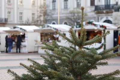 Marché de Noël à Rochechouart
