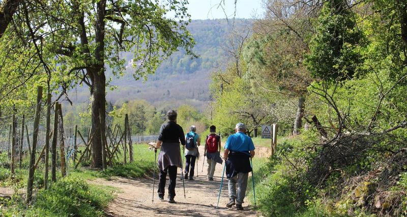Marche gourmande de printemps