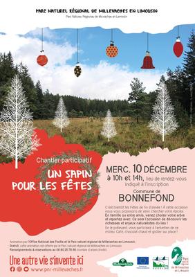 Chantier participatif : un sapin pour les fêtes