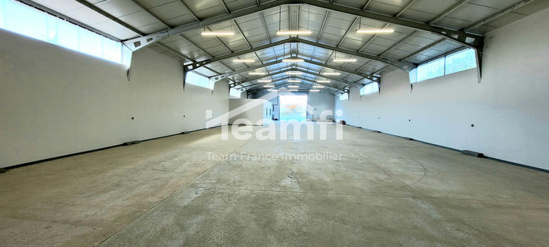 Entrepôt - 592 m²