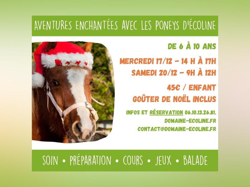 Noël avec les poneys d'Écoline