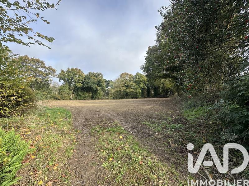 Maison de campagne - 110 m² - 7 pièces