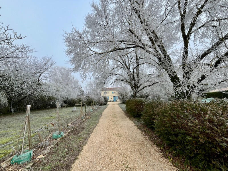 Maison - 148 m² - 7 pièces