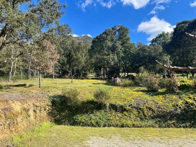 Maison - 266 m² - 9 pièces