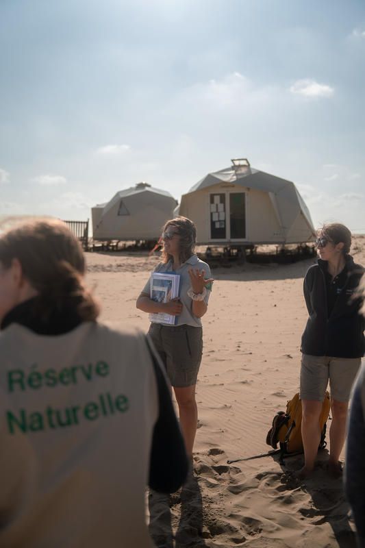 Visite guidée de la Dune du Pilat au Banc d'Arguin