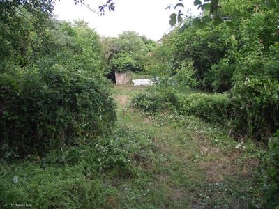 Terrain constructible - 1 271 m²
