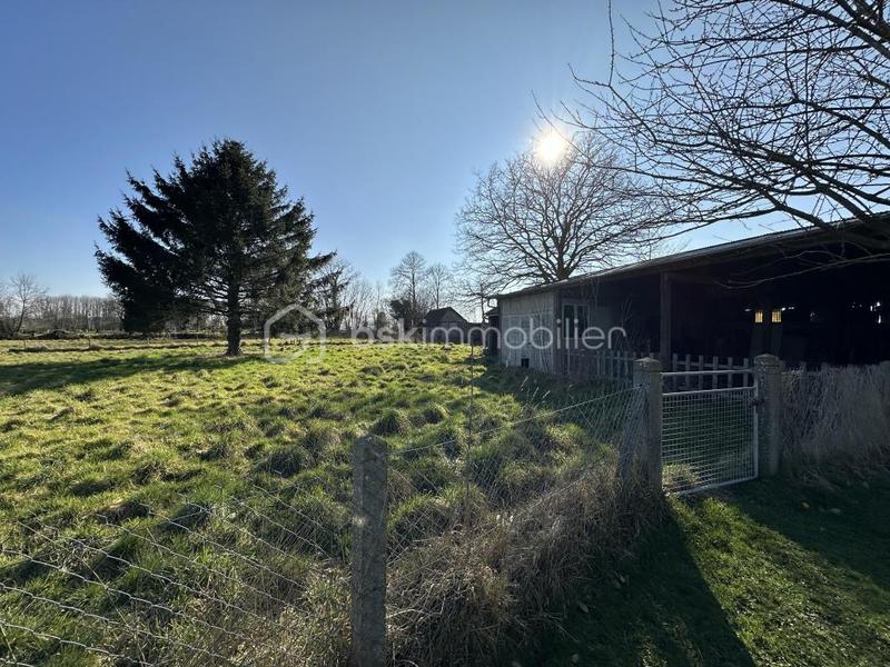 Maison traditionnelle - 235 m² - 11 pièces