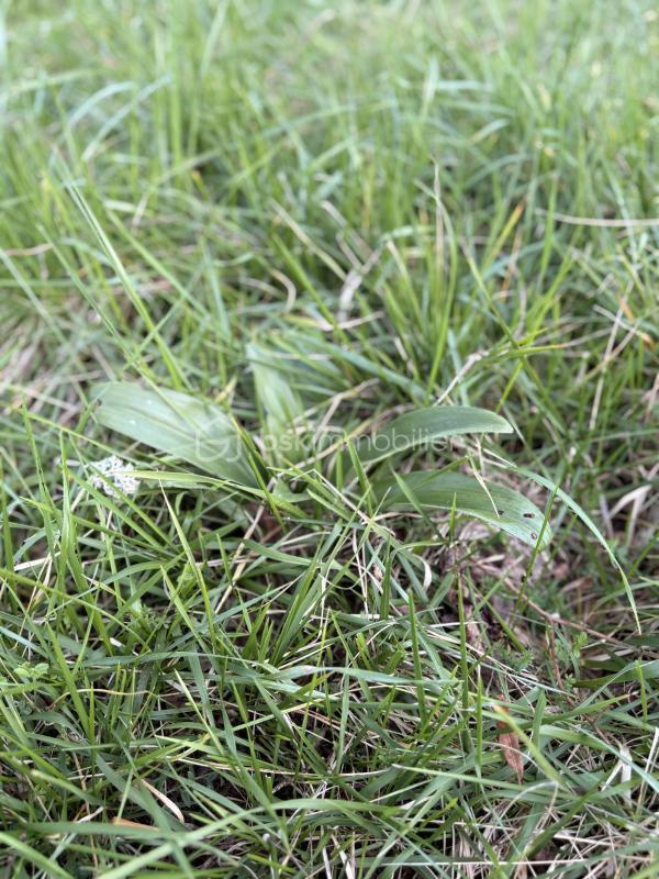 Ferme - 1 400 m² - 12 pièces