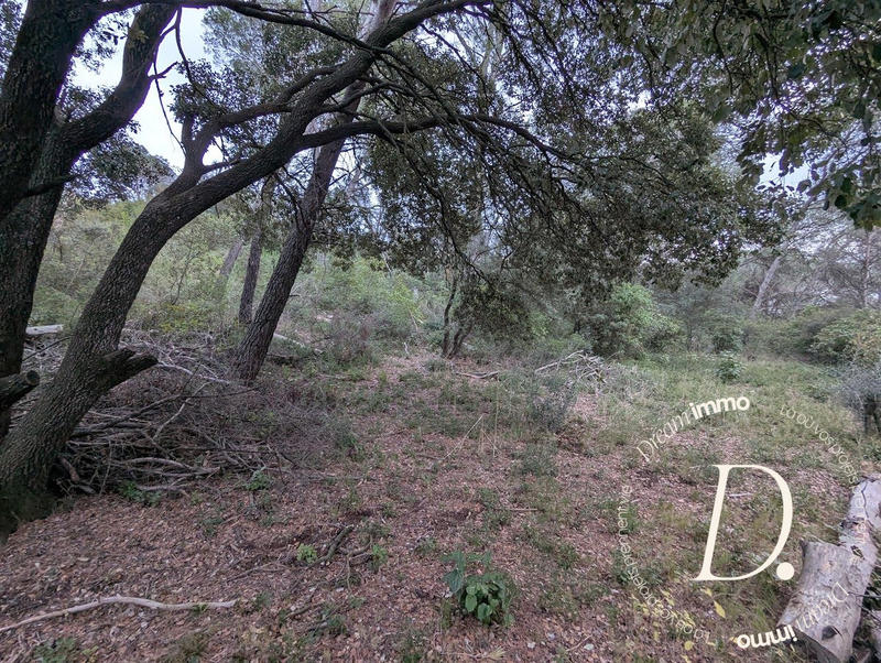 Terrain agricole - 2 000 m²